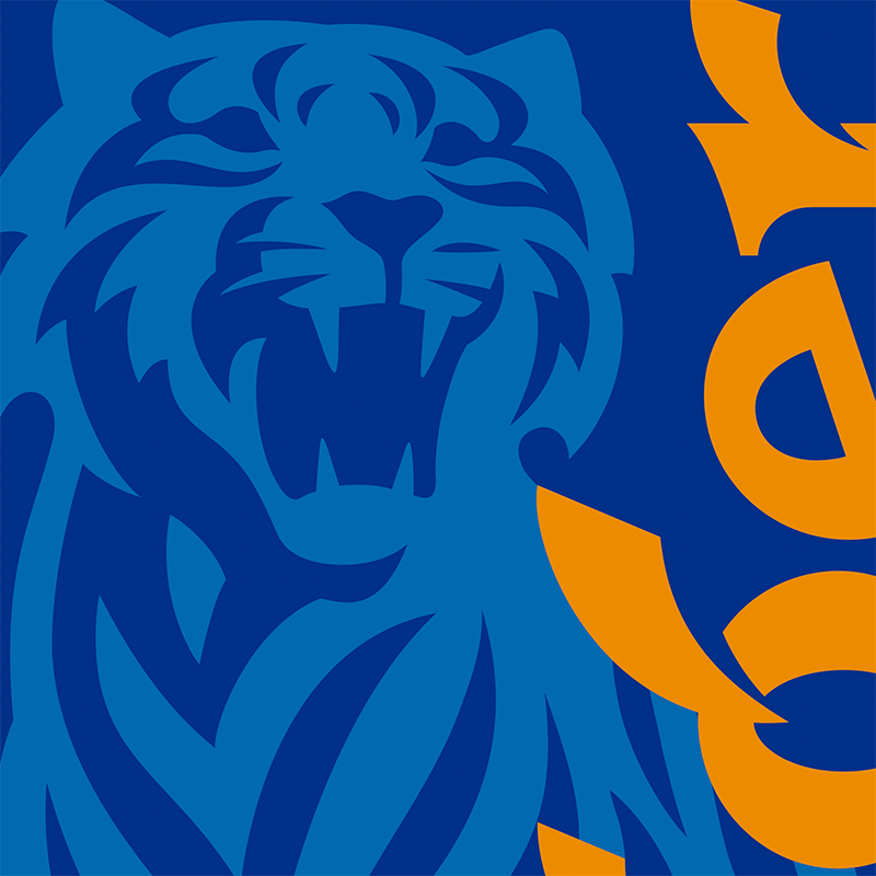 Tiger Summer Fest