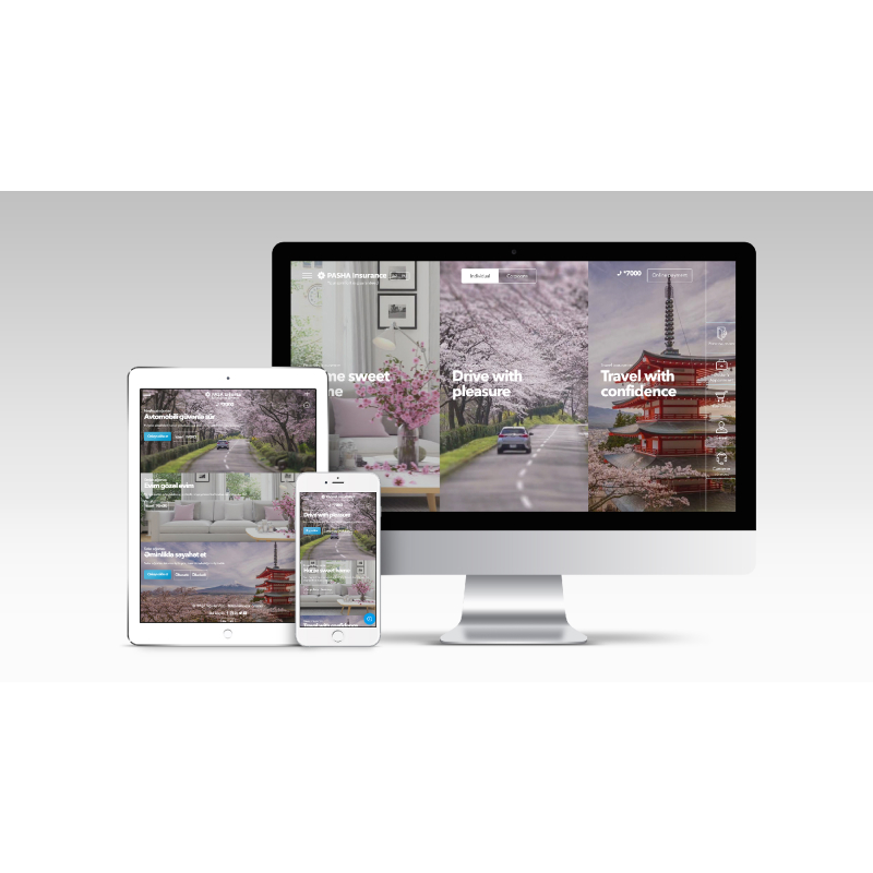 Website of PASHA Insurance