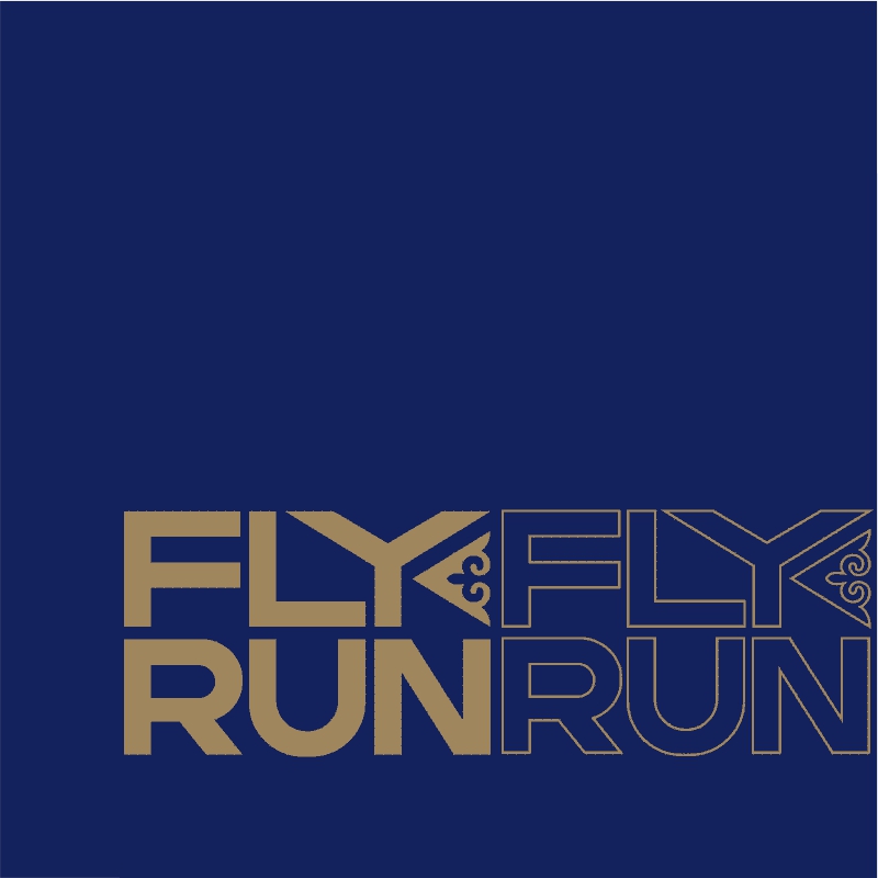 FLYRUN