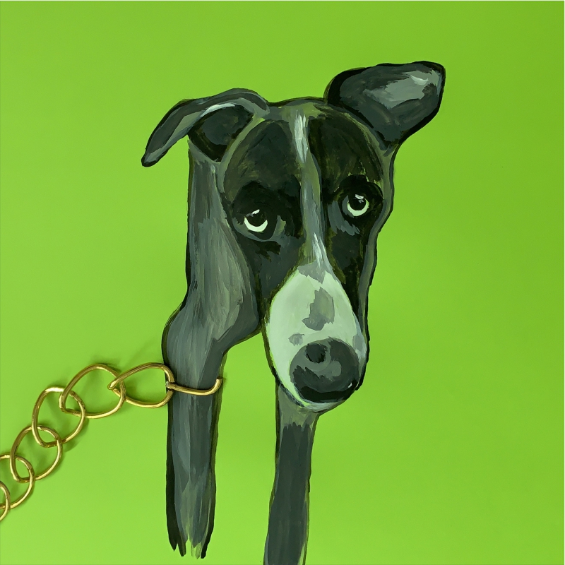 Save the Dogs