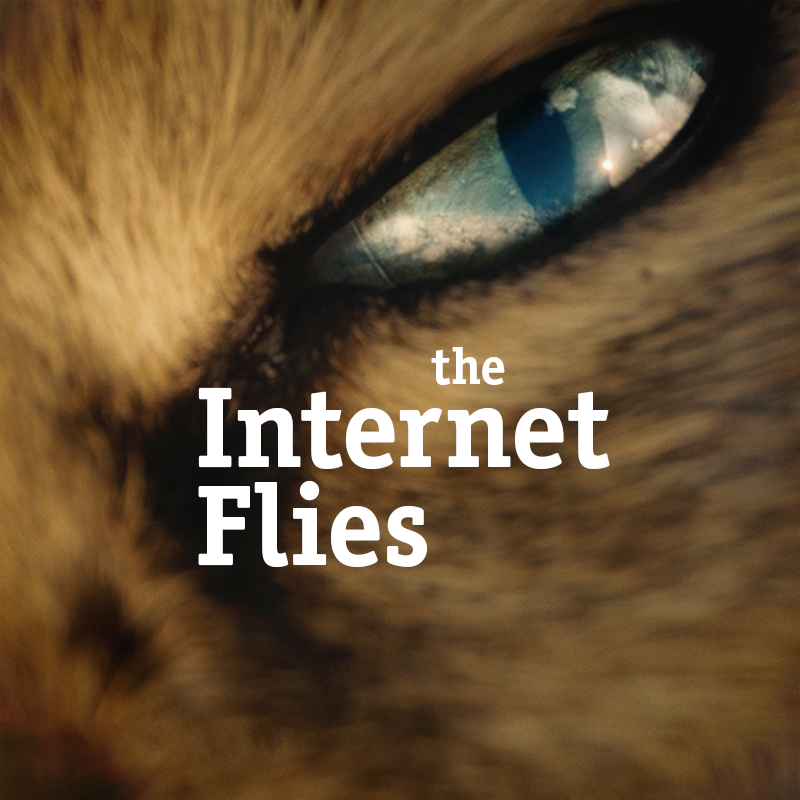 The Internet Flies